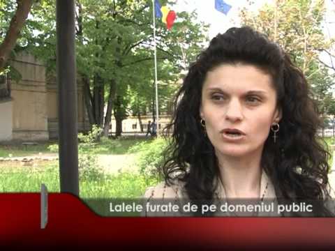 Lalele furate de pe domeniul public