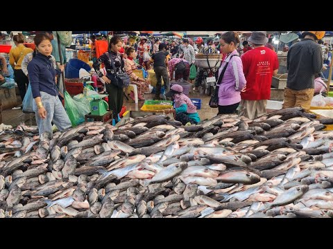 Cambodian Lively Market View, Busiest Market, Biggest Fish Distribution, Fish Market, Wholesale Fish