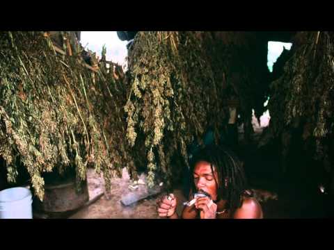 Adesse Versions - Marijuana (full track)