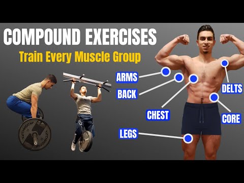 Top 5 Compound Exercises For Beginners | Full Body Training