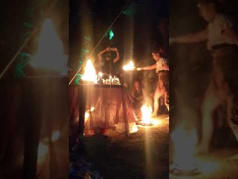 PULSAR FESTIVAL 2019 ( Intervenção artística )