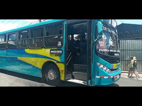 Caio Apache Vip III Mercedes Benz OF1721(59)