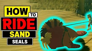 How to Ride a Sand Seal in BOTW
