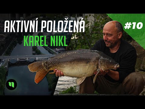 Aktivní Položená | Lov na řece | Základní rady a tipy | Karel Nikl | #10