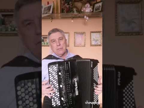 В.Гридин"Веселый хоровод" Roland FR-4X.