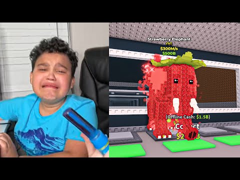 making 8 year olds fight for brainrot