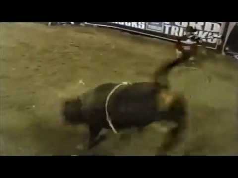 Kid Rock bucks Lee Akin - 03 PBR Billings