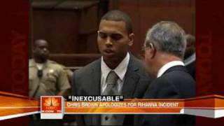 Chris Brown Apology for Rihanna Incident