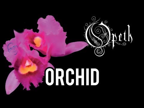 GUITAR TEACHER REACTS to Opeth's "Orchid" Full Album