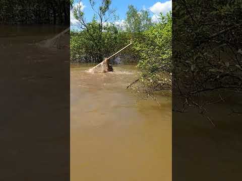 I tried to harpoon the lake monster