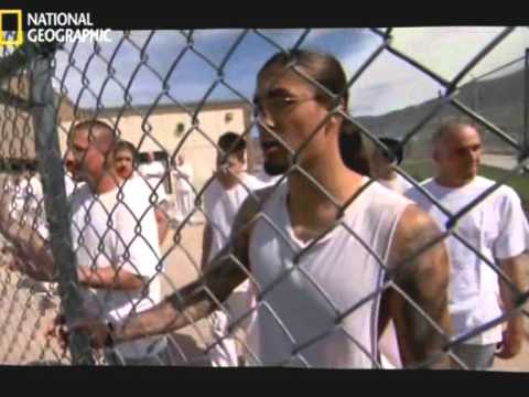 des Prisons Le Gang ou la Famille HD