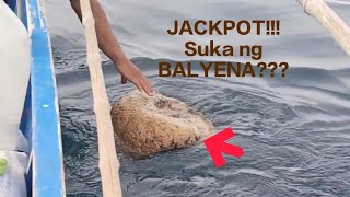 SUKA NG BALYENA?? NAPULOT NAMIN SA LAOT