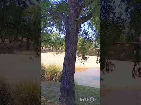 Mina Clavero, Traslasierras, Córdoba, Argentina.#minaclavero