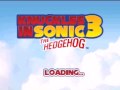 Sonic Classic Collection Level Select And Debug Modes In S3K NTSC