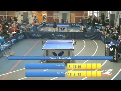 2014 Butterfly Aurora Cup - Women's Singles Finals