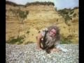 The It's-man & Intros of Monty Python's Flying Circus