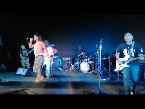 Synchronizer live on stage