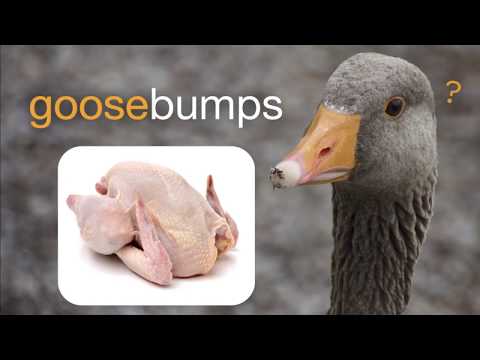 Why do we get goosebumps when we're cold?