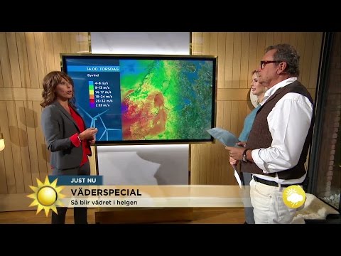 Väderspecial: "Hösten bara susar in nu" - Nyhetsmorgon (TV4)