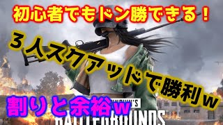 【PUBG lite】フレンドとただただまったりプレイ。何も起きませんｗ【ドン勝】