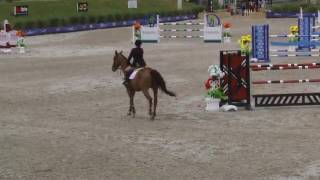 Video koně Intenz van Hd