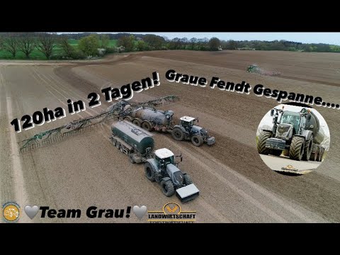 120ha in 2 Tagen! Graue Fendt Gespanne... Team Grau! bei der ausbringung von Rindergülle 2023