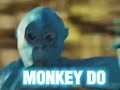 Monkey See Monkey Do Official Intro