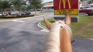 Not every horse can enjoy the drive-thru