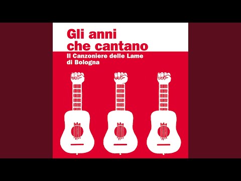 Reggio: la rabbia esplode