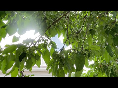 410/412 W 600 S - Video 2 of 2