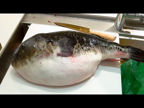 youtube-グルメ・大食い・料理記事2026/01/24 17:58:21