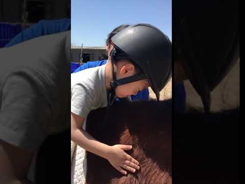 Horse-based services for the disabled in China