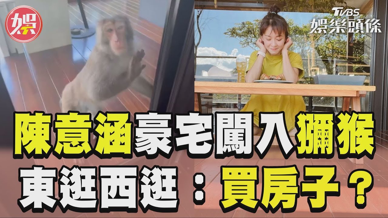 影音/陳意涵豪宅被獼猴硬闖「隔玻璃門對望」! 她笑:要買我房子?