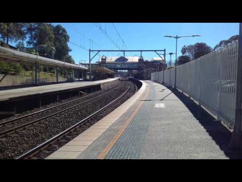 8239 lead CA79 though Gosford platform one heading south