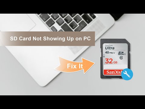 TF Card vs. SD Card: 10+ Things You Want to Know - EaseUS