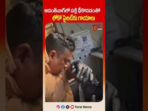 అనంత్‌నాగ్‌లో పక్షి ఢీకొనడంతో లోకో పైలట్‌కు గాయాలు #anantnag #trainaccident #locopilot #tonenews