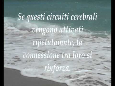 IL RUMORE DEL MARE E I SUOI BENEFICI.
