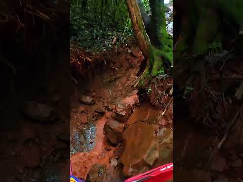 BetaRr300 no hard de Floresta-Pr