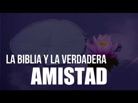 LA GRAN IMPORTANCIA QUE DIOS LE DA A LA AMISTAD - Consejos Bíblicos sobre ser amigos.
