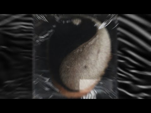 Robert Jack - Bondade/Maldade (Clipe Oficial)