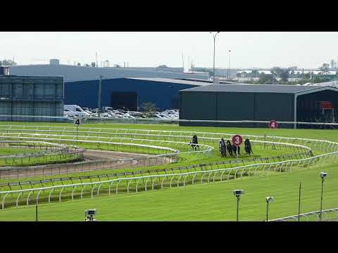 Doomben Jumpouts 26/4/19