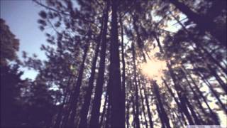 My Friends The Young Folk