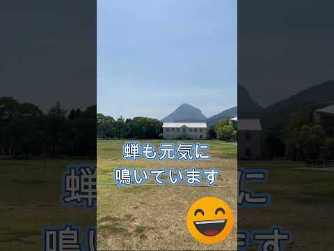 2023年7月キャンパス風景 #shorts