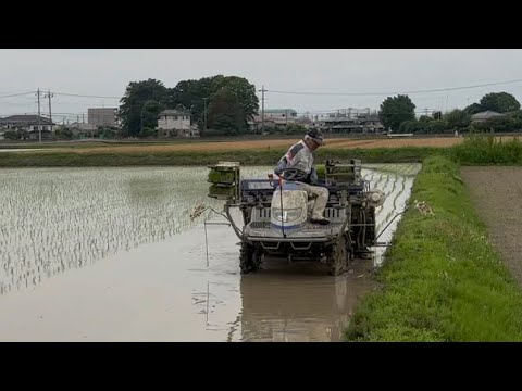 小柳農園　田植え　令和6年　埼玉県熊谷市　米農家　ひとめぼれ　田植え機