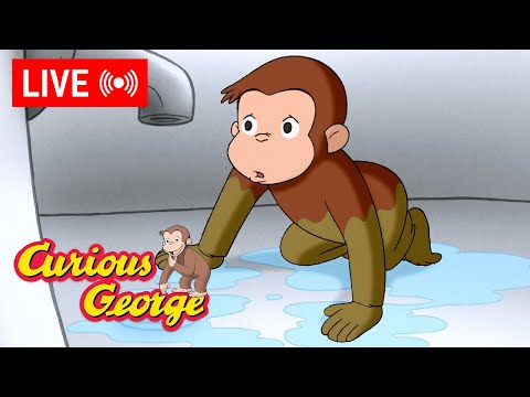 🔴 LIVE Curious George Episodes 🐵 Where's the Bath Water? 💧🛁  + MORE Episode Clips! 🐵