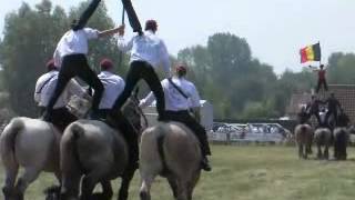 Trekpaarden festival, Oostduinkerke