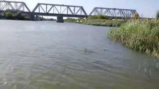 Воблеры hmkl k-1 minnow 85 sp