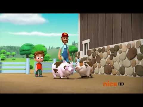 Jordan’s Sound Effects Compilation No.111:Sound Ideas, PIG - GRUNTS AND SQUEALS, ANIMAL