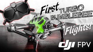 DJI FPV First Turbo Bumblebee Flights [4k 60 FPS]