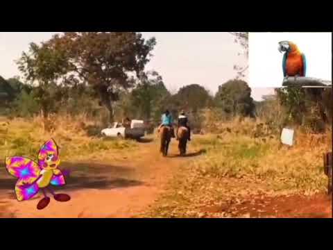 Web rádio salina da cruz